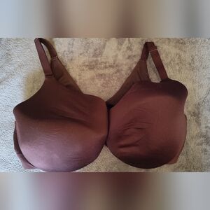 Cacique Burgundy Bra